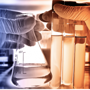 CRS ITALY CHAPTER ANNUAL WORKSHOP